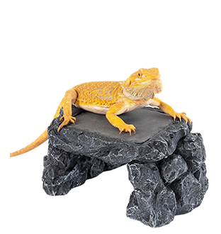 Premium Reptile Hides